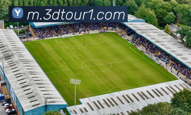 赛事专题整合